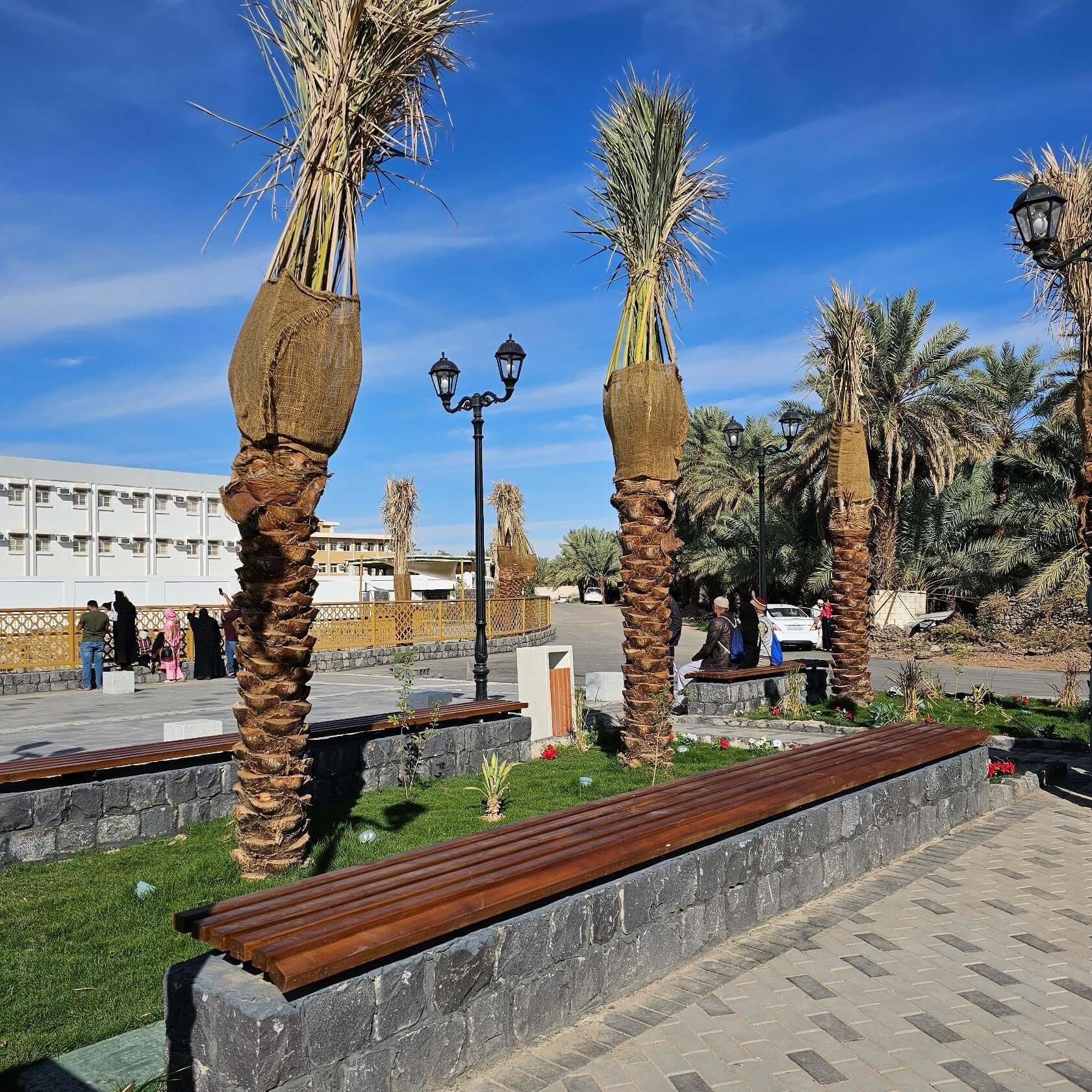 Madinah Tour 2 - Image 7