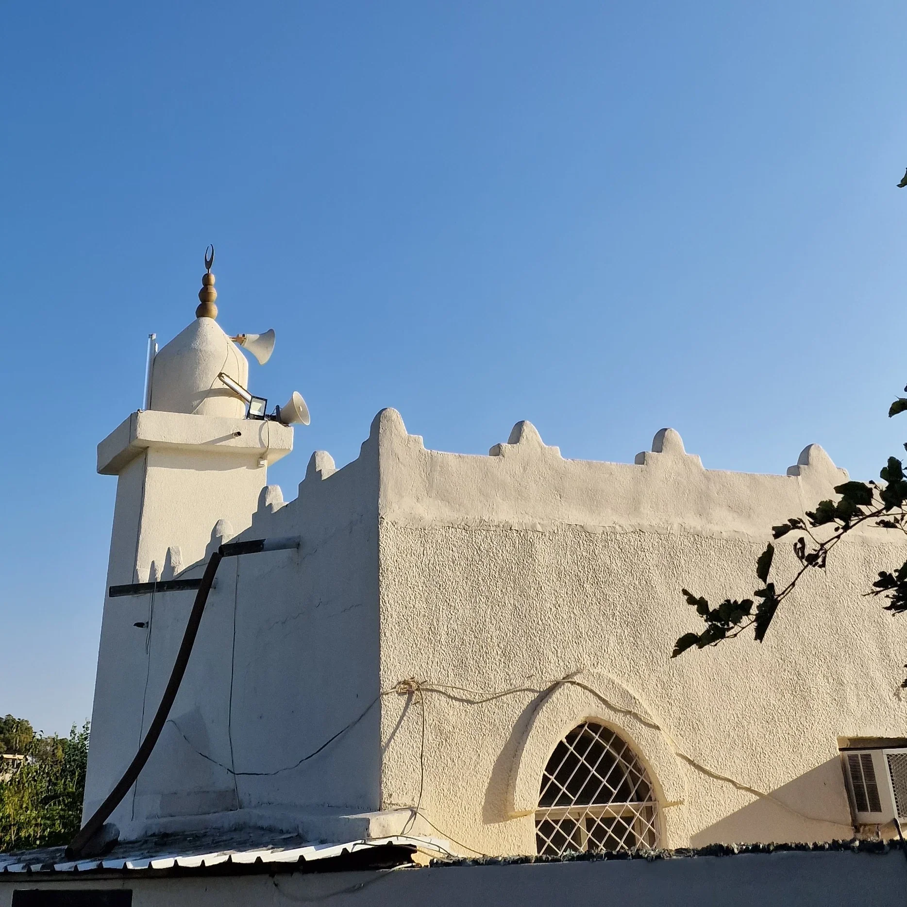 Taif Expedition - Image 4